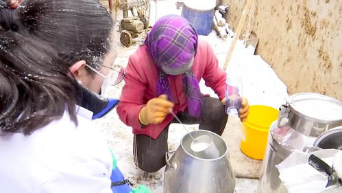 阿克塞县农产品质量安全监督监测站开展节前生鲜乳现场采样检测