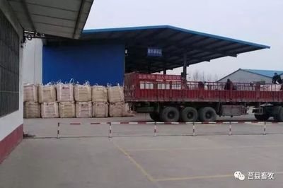 【数说“3·15”】莒县畜牧兽医局多措并举保障畜产品安全，生鲜乳收购环节严把关