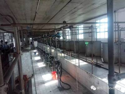 2017年下半年全国生鲜乳质量安全监测任务圆满完成，收购环节安全保障持续升级